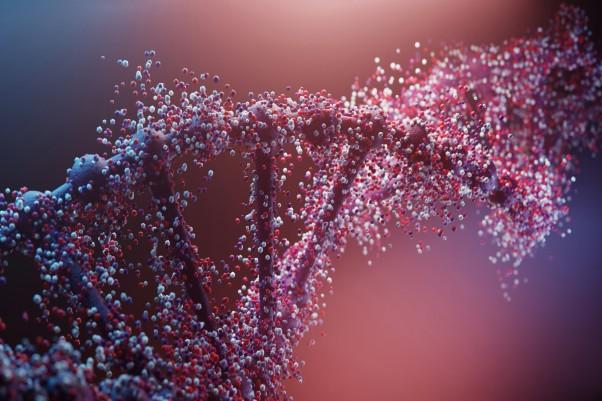 "Vaxcyte will unveil details of its vaccine innovations at the 2026 Needham Charity Health Conference."