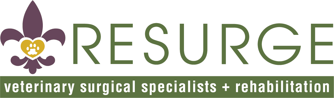 Resurge Veterinary-Dr. Dena Lodato