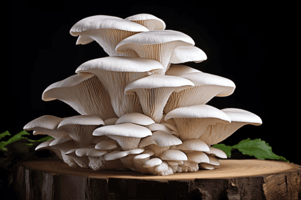 From “Pharaoh’s Curse” to Cancer Cure: How a Deadly Fungus Offers New Hope