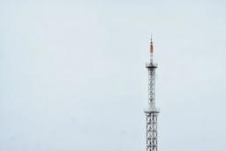 Telecom Companies Face Explosive Questions Over America’s Scam Crisis